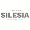 ZM_SILESIA_LOGO_2021